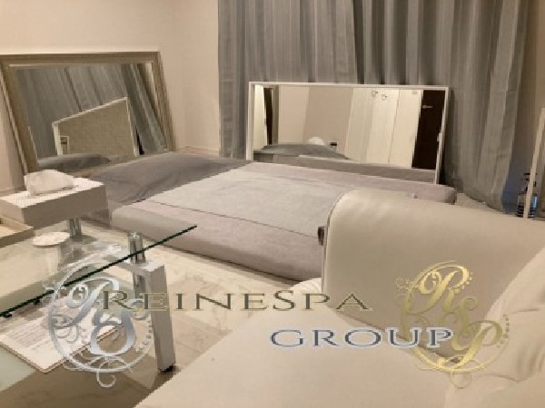 ReineSpa Premium(レーヌスパ プレミアム)