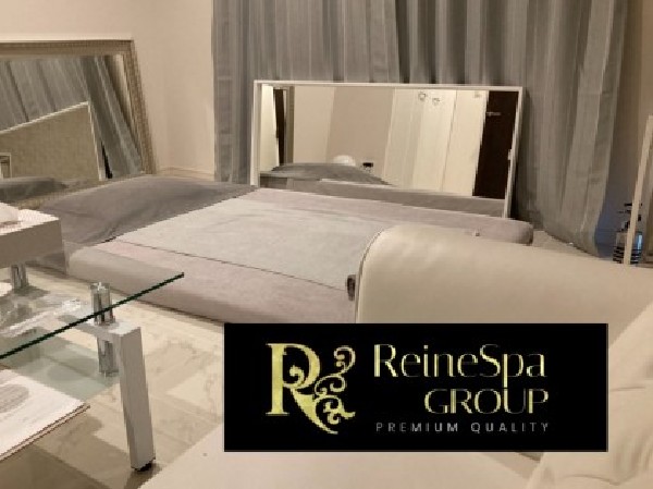 ReineSpa Premium(レーヌスパ プレミアム)